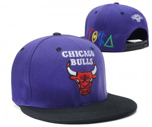 NBA Chicago Bulls Sombrero Purpura Negro 2016