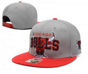 NBA Chicago Bulls Sombrero Gris 2015