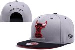 NBA Chicago Bulls Sombrero Snapbacks Gris