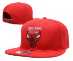 NBA Chicago Bulls Sombrero Rojo 2013
