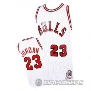Camiseta Jordan Chicago Bulls #23