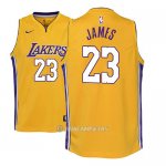 Camiseta Nino Los Angeles Lakers Lebron James #23 Icon 2017-18 Amarillo