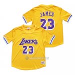 Camiseta Manga Corta Los Angeles Lakers Lebron James #23 Amarillo