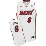 Camiseta Blanco James Miami Heat Revolution 30