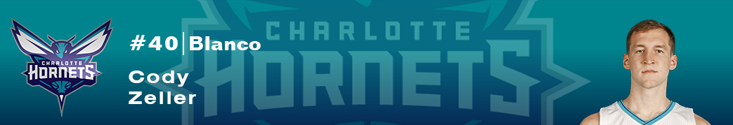 Camiseta Charlotte Hornets